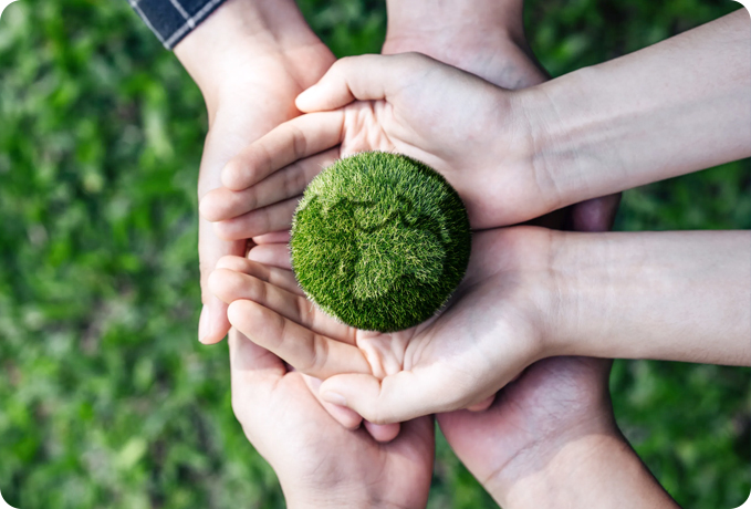 Jinhua JBD New Material Technology Co., Ltd.